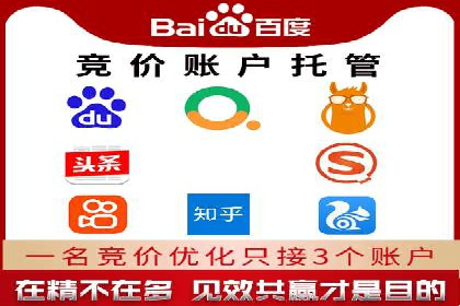 某某SEM服务公司成功案例：从数据出发的营销策略